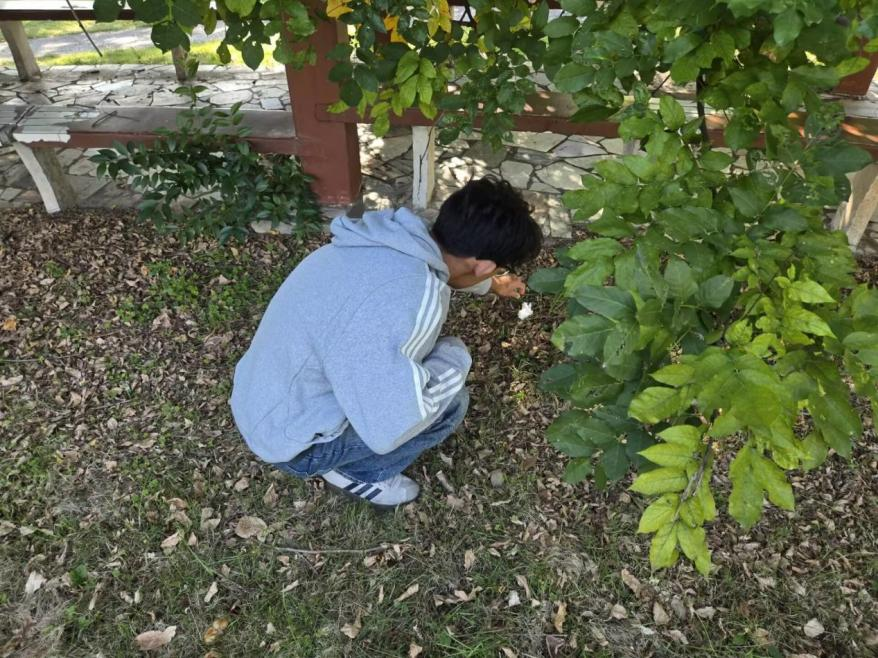 0b705f38b5404fe6aea0c085c5aa8a33.png 0b705f38b5404fe6aea0c085c5aa8a33.png